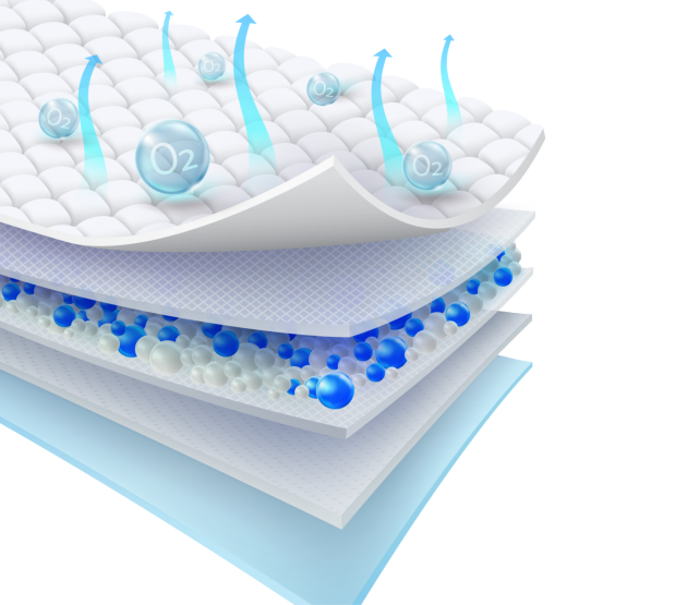 Sanita absorbent layers and breathable construction
